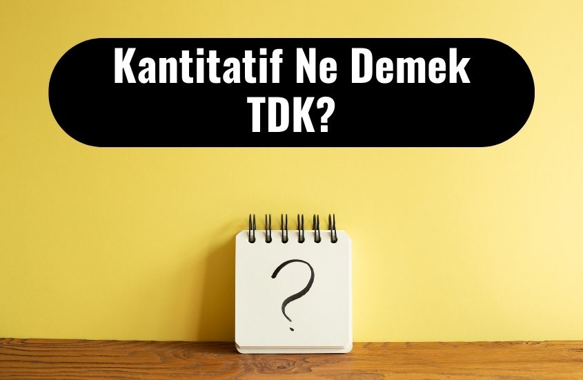 Kantitatif Ne Demek TDK? Tıpta Kantitatif Tanımı