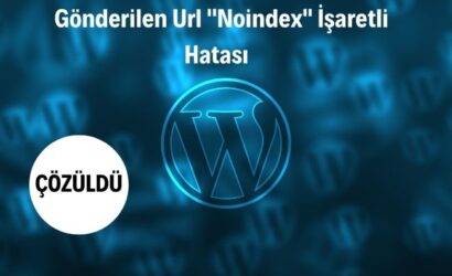 noindex isaretli hatasi