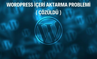 iceri aktarma problemi