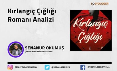 kirlangic cigligi analizi