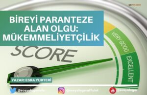 mukemmelliyetcilik nedir