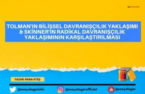 bilissel davraniscilik