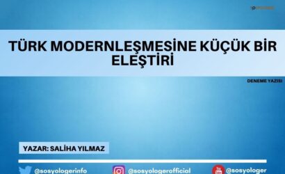 turk modernlesme elestiri