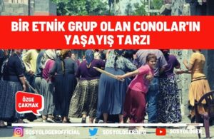 Conolar