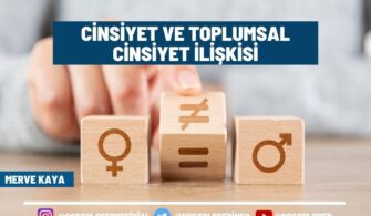Cinsiyet ve Toplumsal Cinsiyet İlişkisi