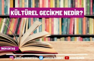 Kültürel Gecikme Nedir?