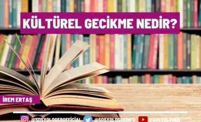 Kültürel Gecikme Nedir?
