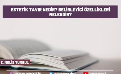 Estetik Tavır Nedir?