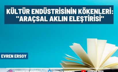 kultur endustrisi kokenleri