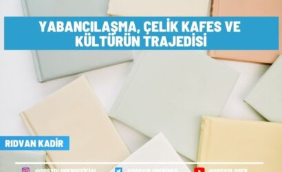 yabancilasma celik kafes