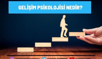 gelişim psikolojisi nedir