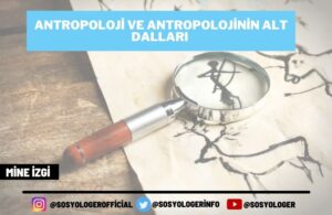 antporoloji ve antropolojinin alt dallari