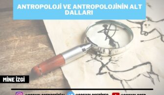Antropoloji ve Antropolojinin Alt Dalları