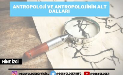 antporoloji ve antropolojinin alt dallari