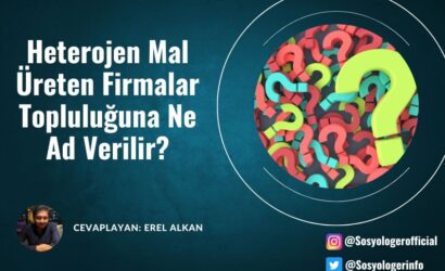 Heterojen Mal Üreten Firmalar Topluluğuna Ne Ad Verilir?