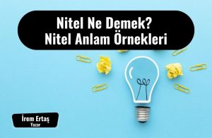 nitel ne demek