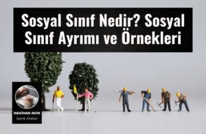 sosyal sinif