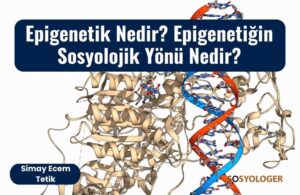 epigenetik