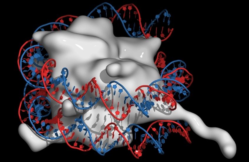 epigenetik sosyoloji