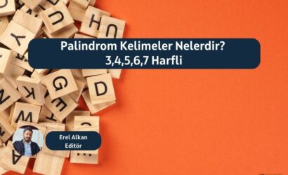 palindrom kelimeler