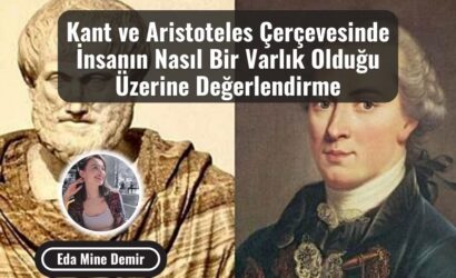 insanin nasil bir varlik oldugu uzerine degerlendirme