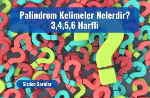 palindrom kelimeler