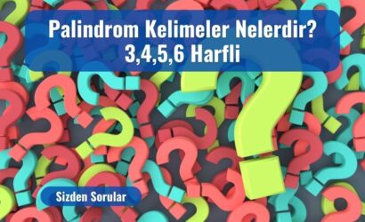 palindrom kelimeler
