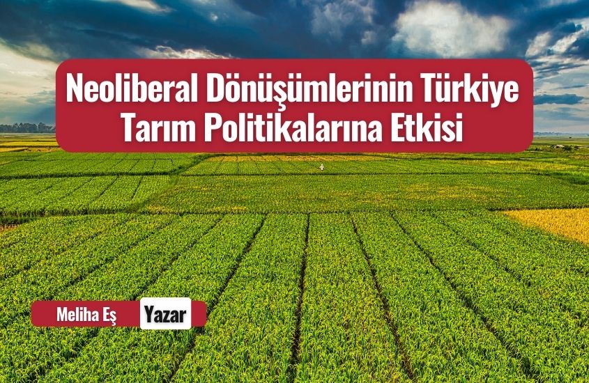 Neoliberal Dönüşümlerinin Türkiye Tarım Politikalarına Etkisi