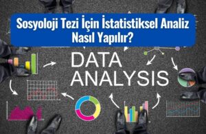 sosyoloji tezi icin istatistiksel analiz