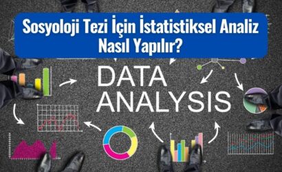 sosyoloji tezi icin istatistiksel analiz
